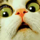 scared