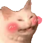 UWUCatJam