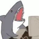 sharkComputer