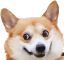 hehe