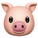 pig