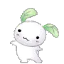 bunnydance