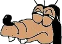 sus