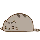 sad_pusheen