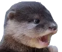 PogOtter