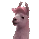 Llama