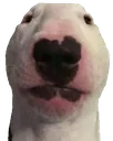 walter