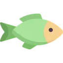greenfish