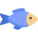 bluefish