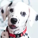 happymochi happymochi
