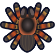tarantula Discord emoji