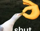 Shut