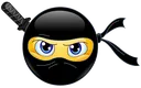 Ninja_2