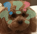 DogsOfDiscord_3_DaisyConfuzzedd Discord emoji