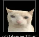 SCnotacat