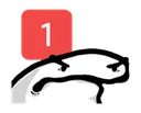 ping ping