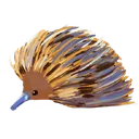 echidna