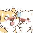 ShibKissu