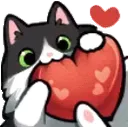 kittyheart