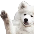 waveBoi waveBoi