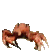 crabrave