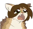 Sadcat Discord Emoji
