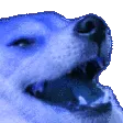 meme_Lol7