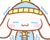 cincold