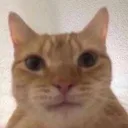 kit