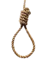 noose