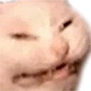 angerycat