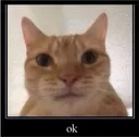 Ok