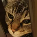 Feelscatman Discord Emoji