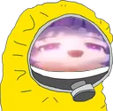 MeiQuarantineHue