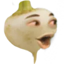 turnipPOG