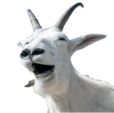 goatscream