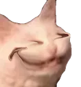 grin grin