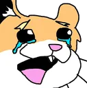 hammycry