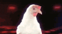 :chicken: Discord Emote