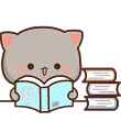 nyaaStudy nyaaStudy