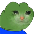 pepeCAT Discord emoji