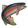 Trout