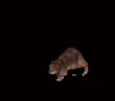 ratdeath ratdeath