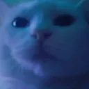 cathayato Discord Emoji