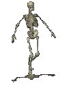 SkeletonRun