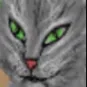 CatPolice CatPolice