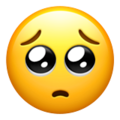 pleading_OL