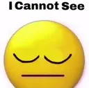 icannotsee