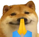 wideborkpray