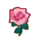 pink_rose pink_rose